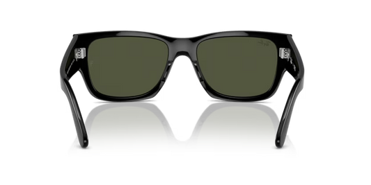 Ray-Ban 0RB0947S