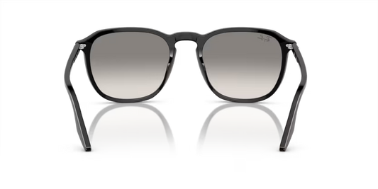 Ray-Ban 0RB2203
