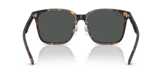 Ray-Ban 0RB2206D