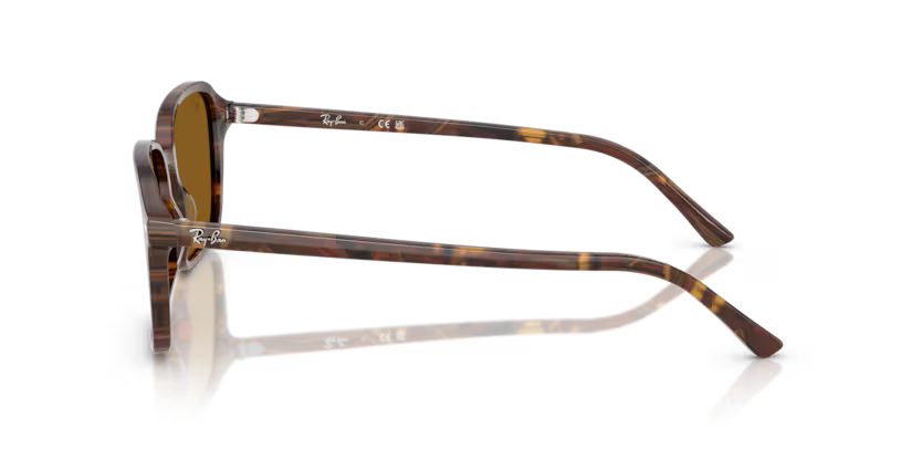 Ray-Ban 0RB2231