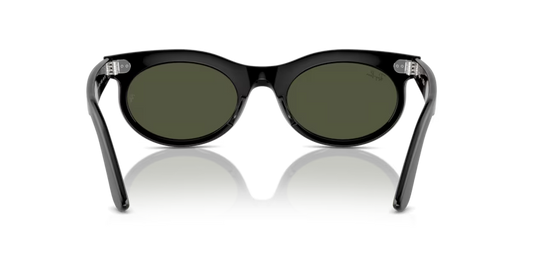 Ray-Ban 0RB2242