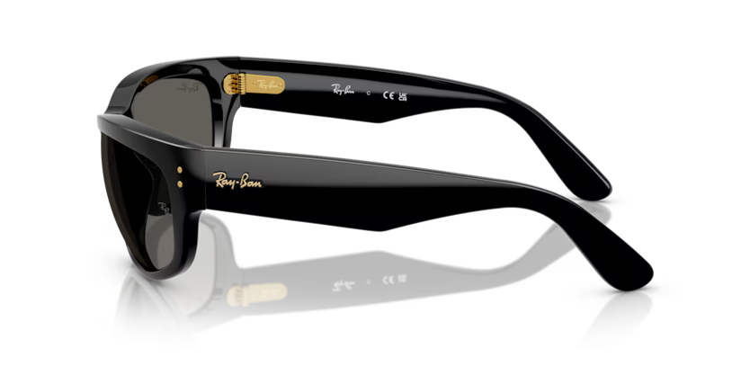Ray-Ban 0RB2289