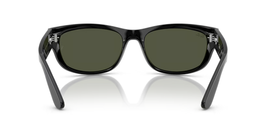 Ray-Ban 0RB2289