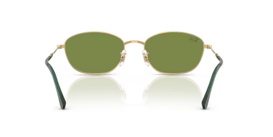 Ray-Ban 0RB3749