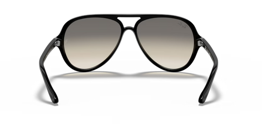 Ray-Ban 0RB4125