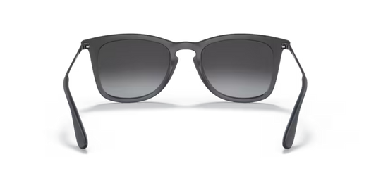 Ray-Ban 0RB4221