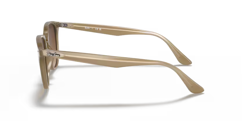 Ray-Ban 0RB4259