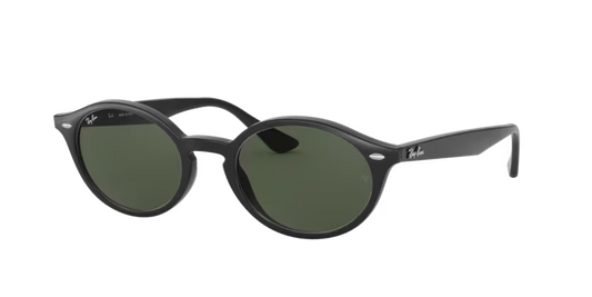 Ray-Ban 0RB4315