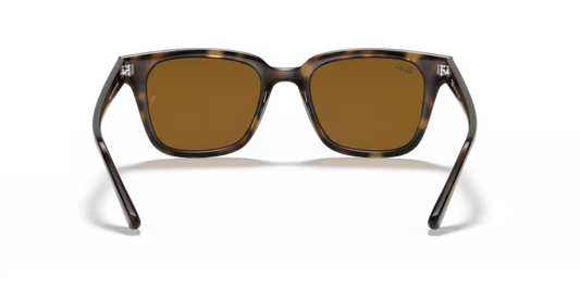 Ray-Ban 0RB4323