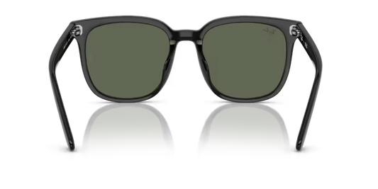 Ray-Ban 0RB4401D