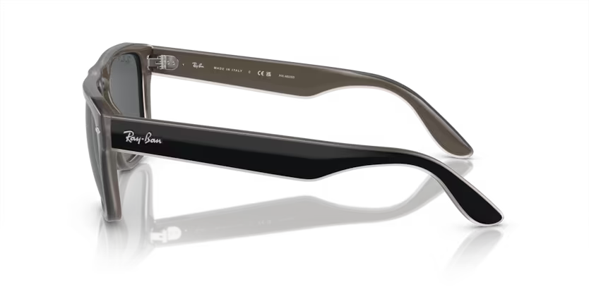 Ray-Ban 0RB4407