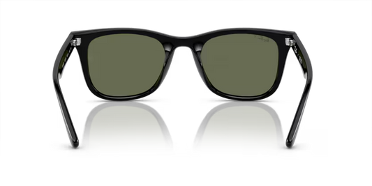 Ray-Ban 0RB4420