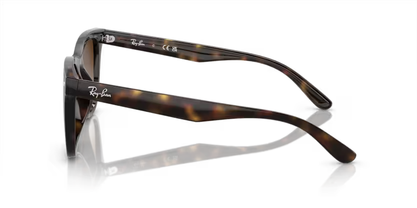 Ray-Ban 0RB4420