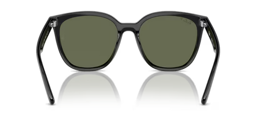 Ray-Ban 0RB4423D