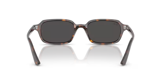 Ray-Ban 0RB4455