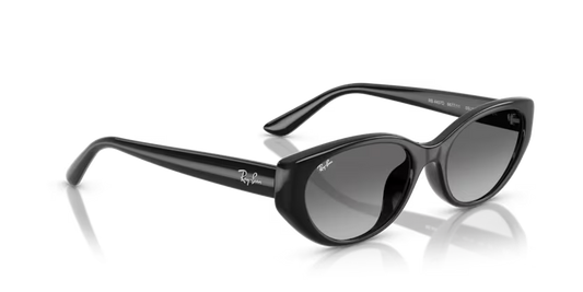 Ray-Ban 0RB4457D