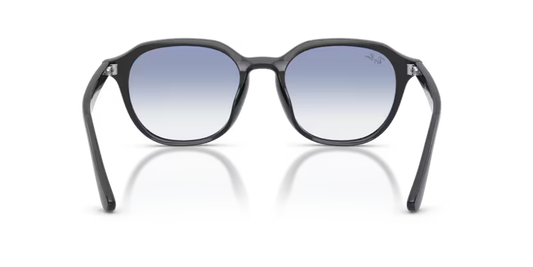 Ray-Ban 0RB4459D