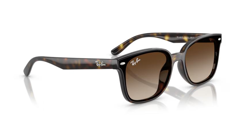Ray-Ban 0RB4461D