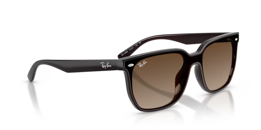 Ray-Ban 0RB4466D