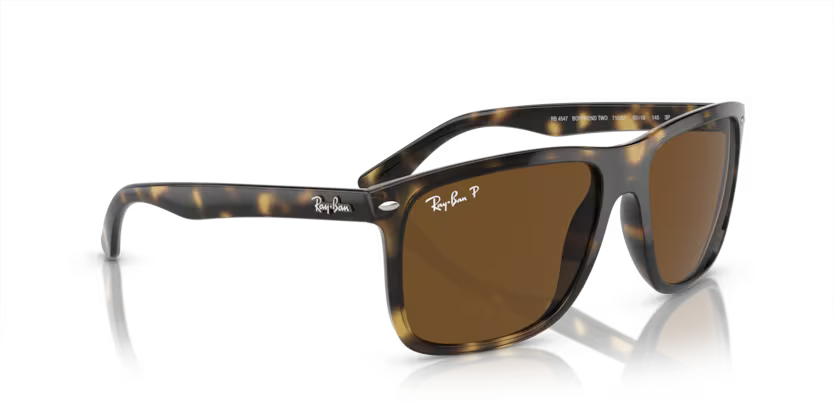 Ray-Ban 0RB4547