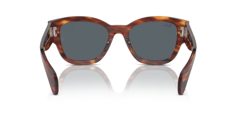 Ray-Ban 0RB7681S