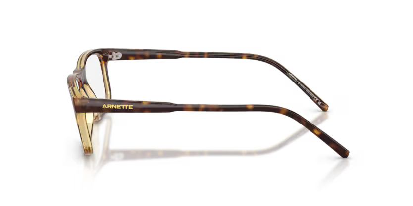 ARNETTE 0AN7194