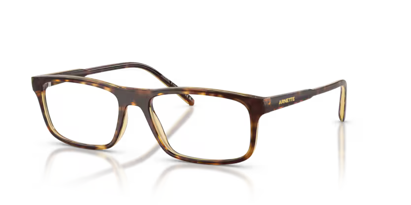 ARNETTE 0AN7194
