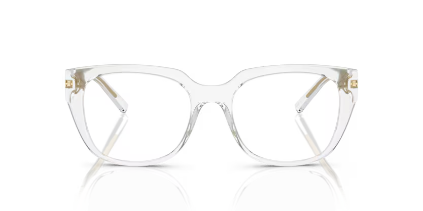 DOLCE & GABBANA 0DG5087