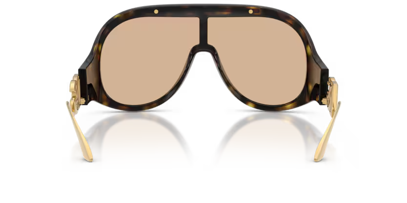 DOLCE & GABBANA 0DG6202