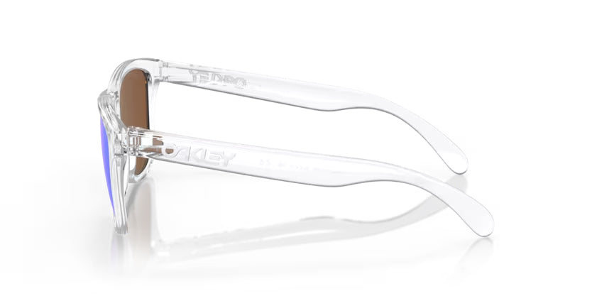 Oakley 0OO9013 FROGSKINS