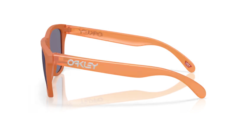 Oakley 0OO9013 FROGSKINS