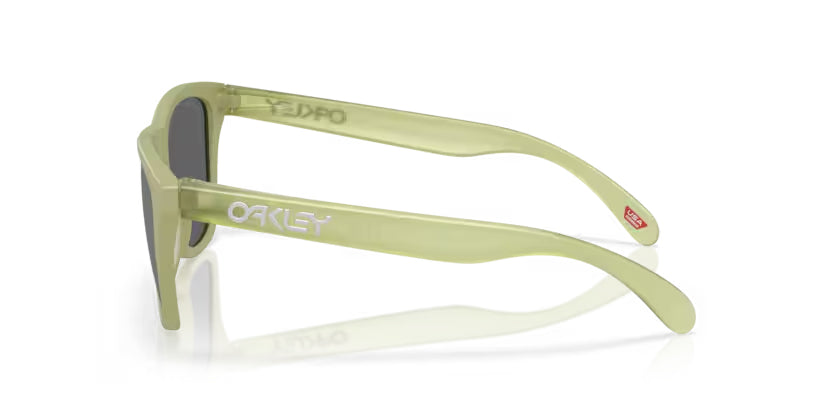 Oakley 0OO9013 FROGSKINS