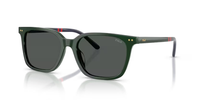 Polo Ralph Lauren  0PH4235U