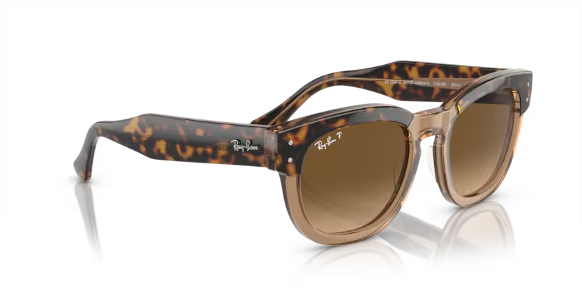 Ray-Ban	0RB0298S