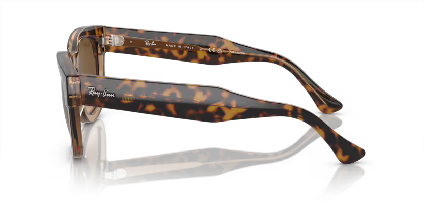 Ray-Ban	0RB0298S
