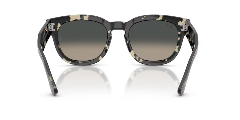 Ray-Ban	0RB0298S