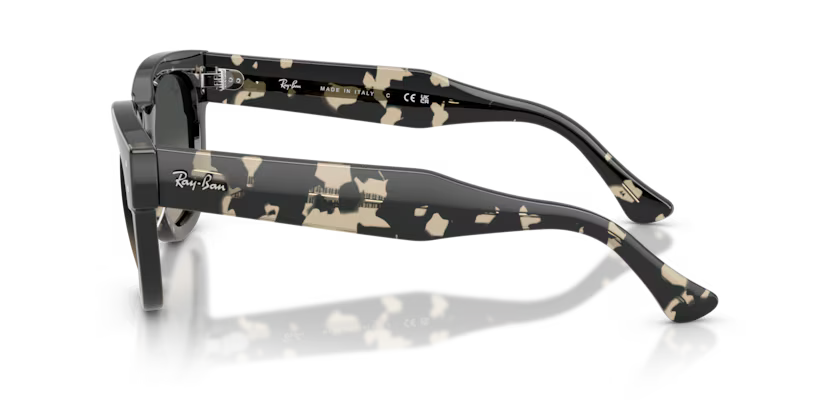Ray-Ban	0RB0298S
