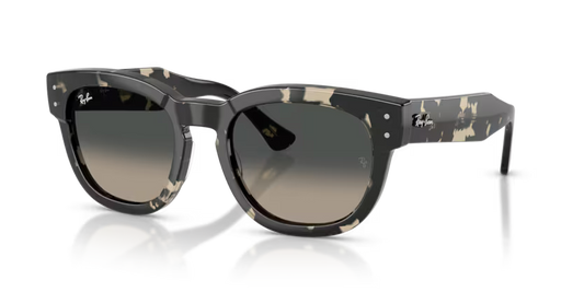 Ray-Ban	0RB0298S