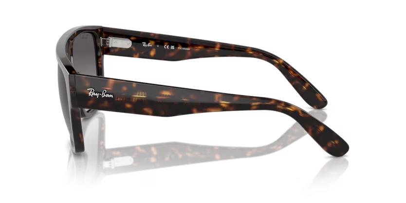 Ray-Ban 0RB0360S