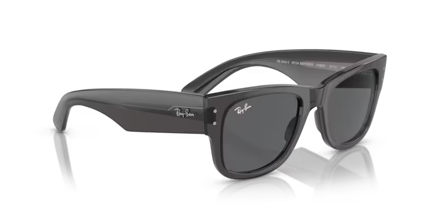 Ray-Ban 0RB0840S