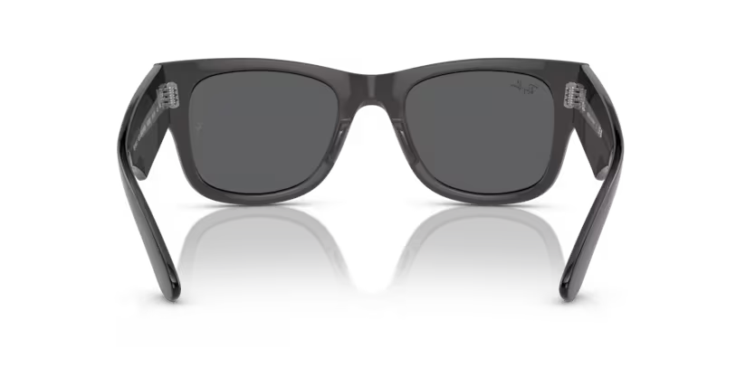 Ray-Ban 0RB0840S