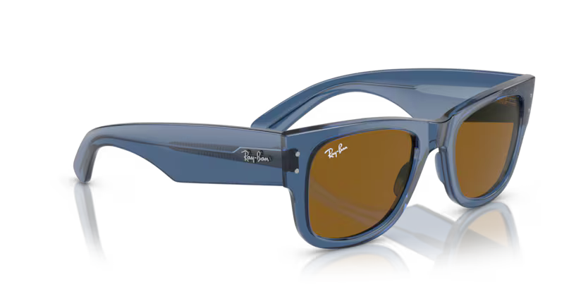Ray-Ban 0RB0840S