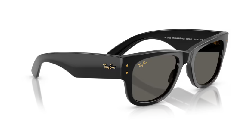 Ray-Ban 0RB0840S