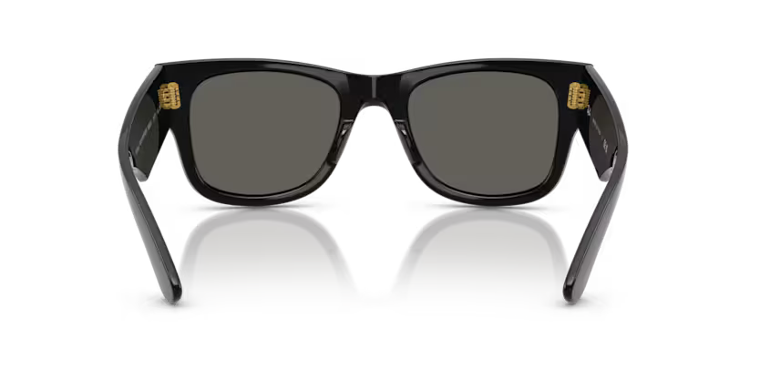 Ray-Ban 0RB0840S
