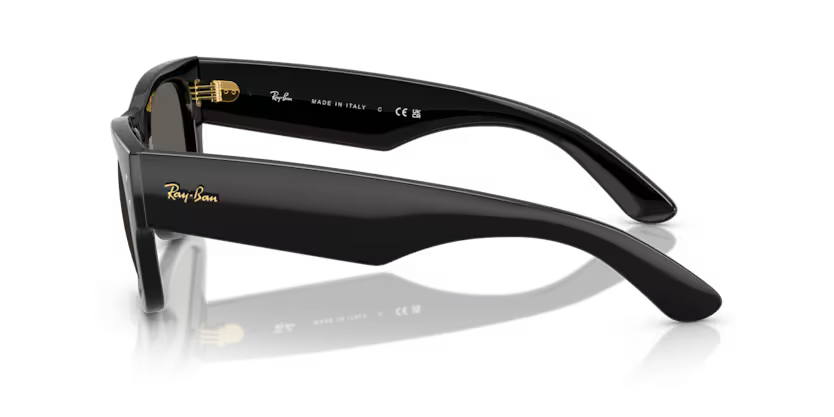 Ray-Ban 0RB0840S