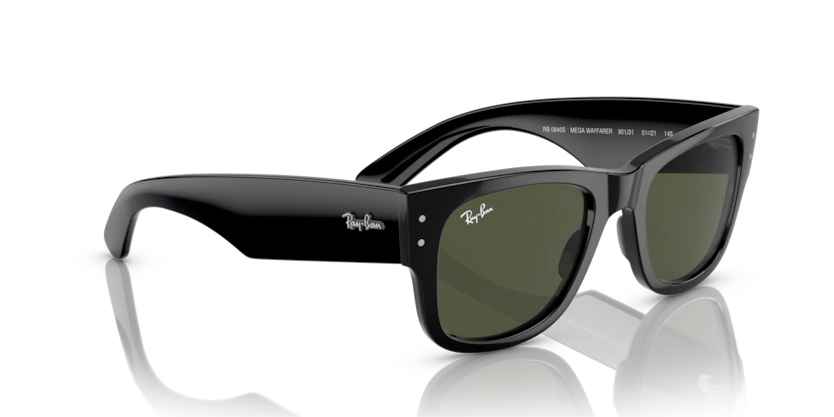 Ray-Ban 0RB0840S
