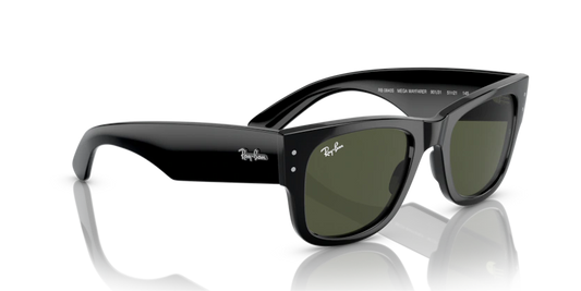 Ray-Ban 0RB0840S