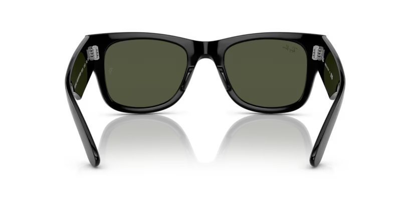 Ray-Ban 0RB0840S