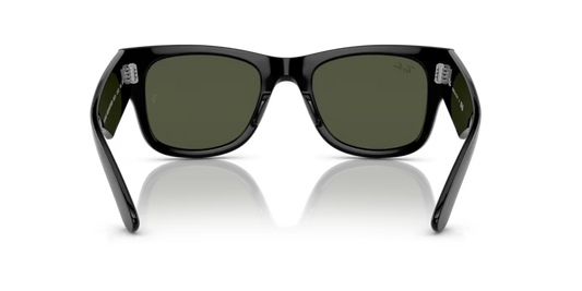 Ray-Ban 0RB0840S