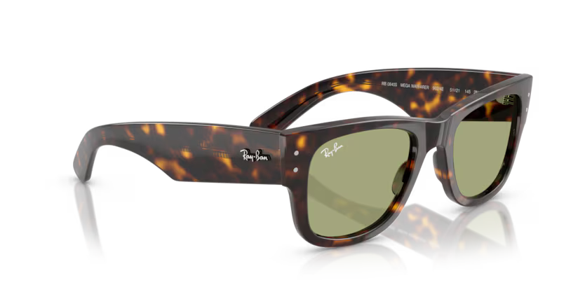 Ray-Ban 0RB0840S